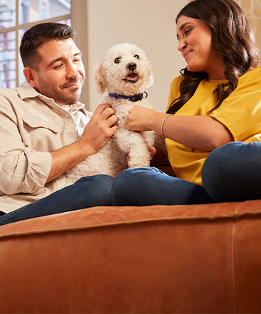 A couple looking at their small, curly-haired dog who is embraced by our pet health insurance company